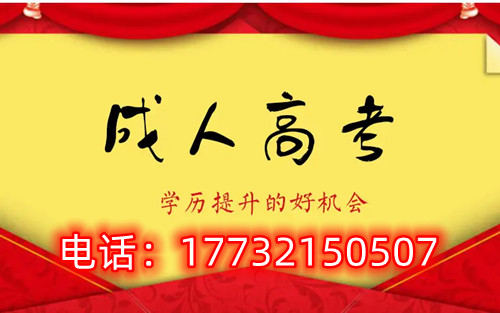 干貨！備考必讀，成考不踩雷！