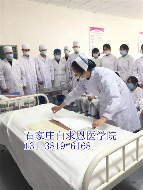河北對(duì)口高考和對(duì)口單招有什么不同？